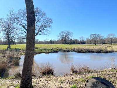 37 East Texas Acres - Leesburg Camp County - Creek - 2 Ponds - image 1