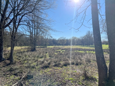 37 East Texas Acres - Leesburg Camp County - Creek - 2 Ponds - image 17