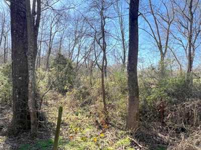37 East Texas Acres - Leesburg Camp County - Creek - 2 Ponds - image 23