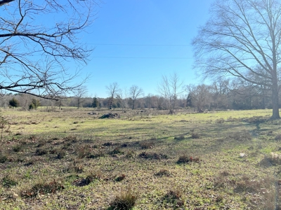 37 East Texas Acres - Leesburg Camp County - Creek - 2 Ponds - image 6