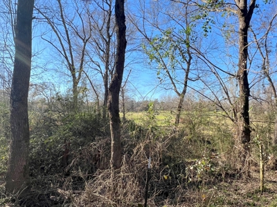 37 East Texas Acres - Leesburg Camp County - Creek - 2 Ponds - image 24