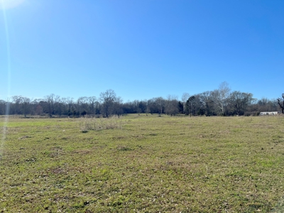 37 East Texas Acres - Leesburg Camp County - Creek - 2 Ponds - image 13