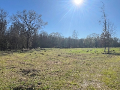 37 East Texas Acres - Leesburg Camp County - Creek - 2 Ponds - image 20