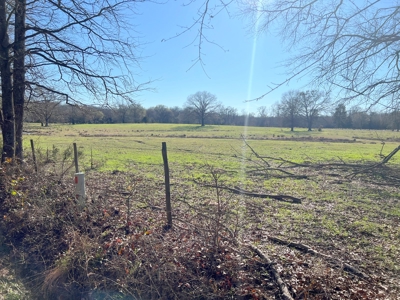 37 East Texas Acres - Leesburg Camp County - Creek - 2 Ponds - image 15
