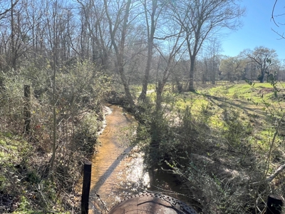 37 East Texas Acres - Leesburg Camp County - Creek - 2 Ponds - image 2