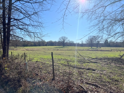 37 East Texas Acres - Leesburg Camp County - Creek - 2 Ponds - image 14