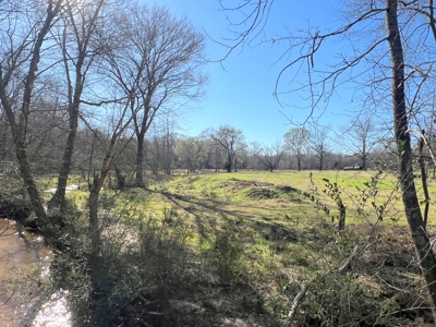 37 East Texas Acres - Leesburg Camp County - Creek - 2 Ponds - image 21