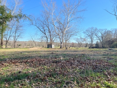37 East Texas Acres - Leesburg Camp County - Creek - 2 Ponds - image 4