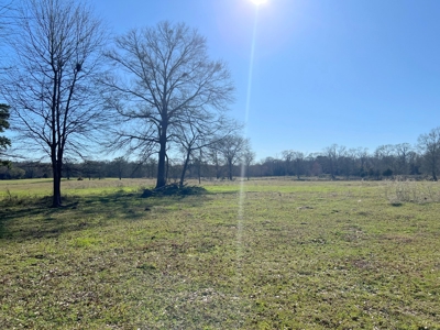 37 East Texas Acres - Leesburg Camp County - Creek - 2 Ponds - image 12