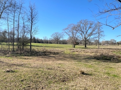 37 East Texas Acres - Leesburg Camp County - Creek - 2 Ponds - image 18