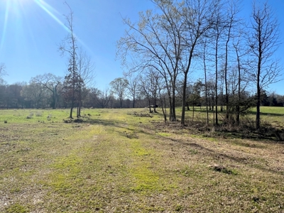 37 East Texas Acres - Leesburg Camp County - Creek - 2 Ponds - image 19