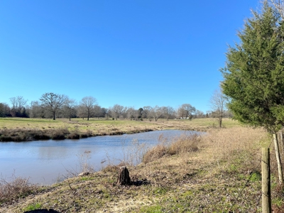 37 East Texas Acres - Leesburg Camp County - Creek - 2 Ponds - image 16