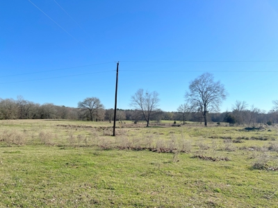 37 East Texas Acres - Leesburg Camp County - Creek - 2 Ponds - image 8