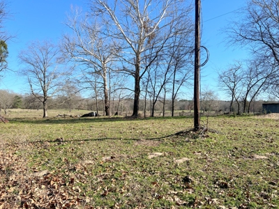 37 East Texas Acres - Leesburg Camp County - Creek - 2 Ponds - image 5
