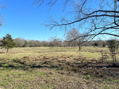 37 East Texas Acres - Leesburg Camp County - Creek - 2 Ponds - image 7