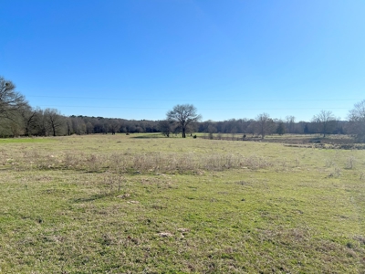 37 East Texas Acres - Leesburg Camp County - Creek - 2 Ponds - image 10