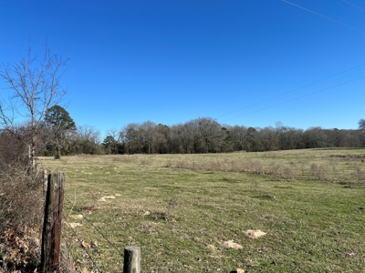 37 East Texas Acres - Leesburg Camp County - Creek - 2 Ponds - image 9