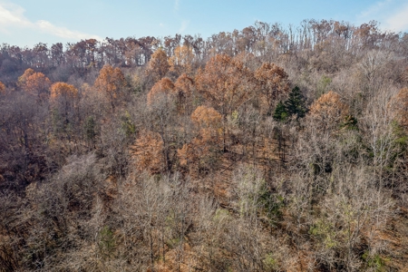 A hunter’s paradise! - image 5