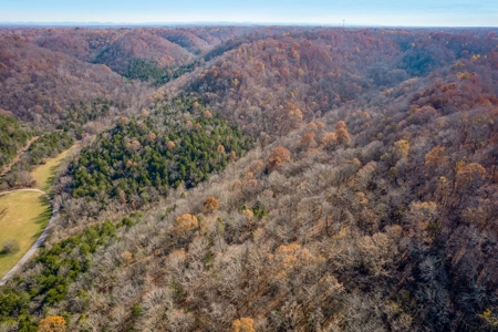 A hunter’s paradise! - image 18