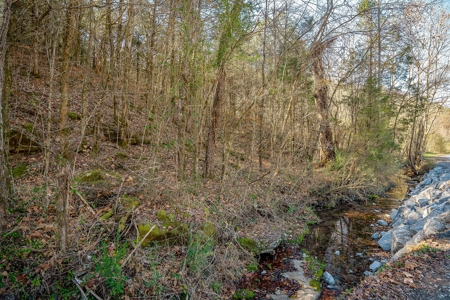 A hunter’s paradise! - image 30