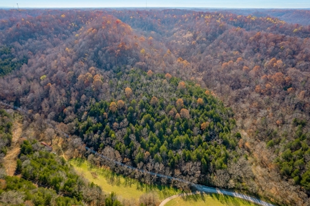 A hunter’s paradise! - image 10