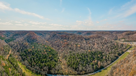 A hunter’s paradise! - image 12
