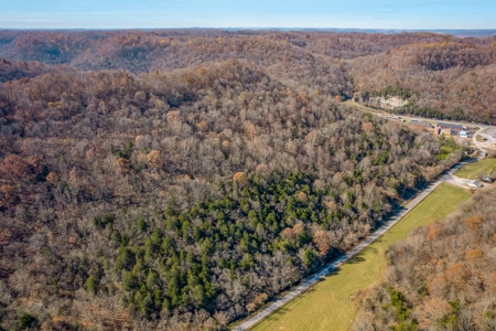 A hunter’s paradise! - image 9