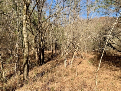 A hunter’s paradise! - image 39