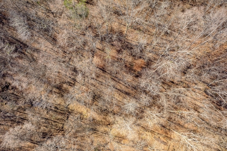 A hunter’s paradise! - image 7