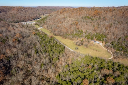 A hunter’s paradise! - image 8