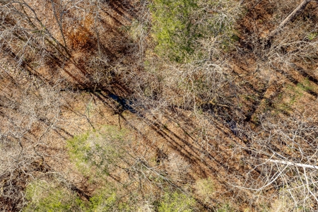 A hunter’s paradise! - image 6