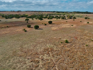 Land for Sale in Florence TX - image 11