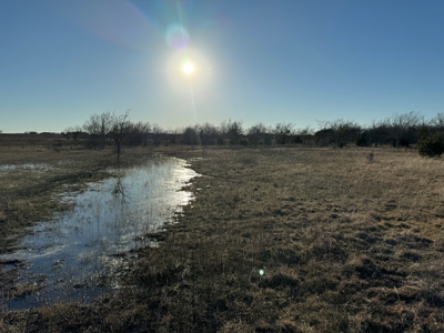 Land for Sale in Florence TX - image 15