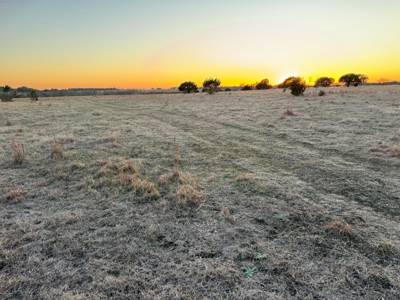 Land for Sale in Florence TX - image 18
