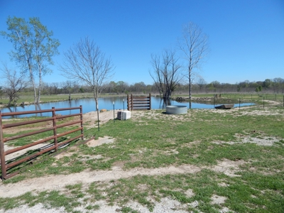 Small Acreage For Sale in Clarksville TX - image 9