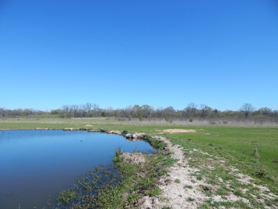 Small Acreage For Sale in Clarksville TX - image 20