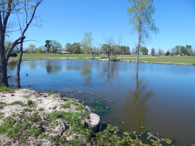 Small Acreage For Sale in Clarksville TX - image 22