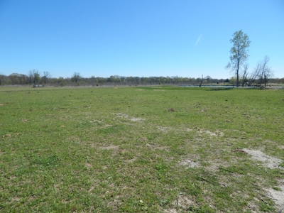 Small Acreage For Sale in Clarksville TX - image 4