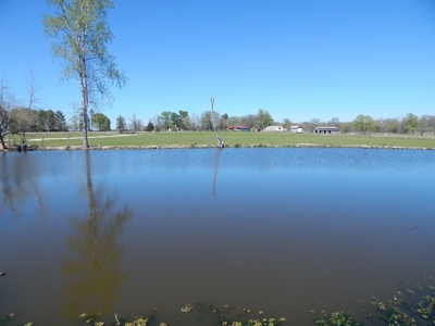 Small Acreage For Sale in Clarksville TX - image 21