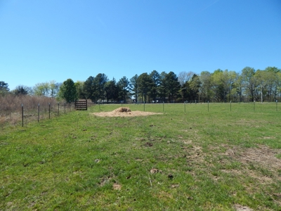 Small Acreage For Sale in Clarksville TX - image 15
