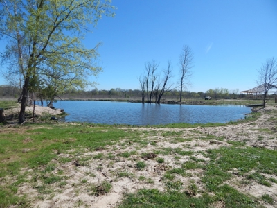 Small Acreage For Sale in Clarksville TX - image 6