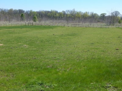 Small Acreage For Sale in Clarksville TX - image 19