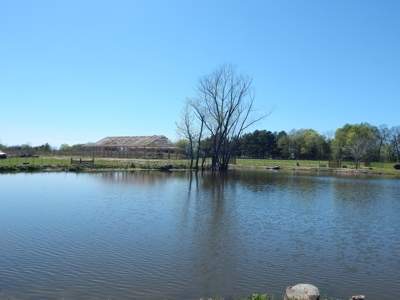 Small Acreage For Sale in Clarksville TX - image 17