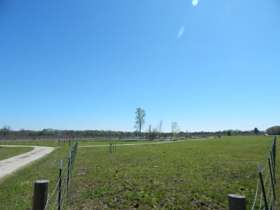 Small Acreage For Sale in Clarksville TX - image 3