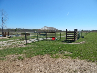 Small Acreage For Sale in Clarksville TX - image 8