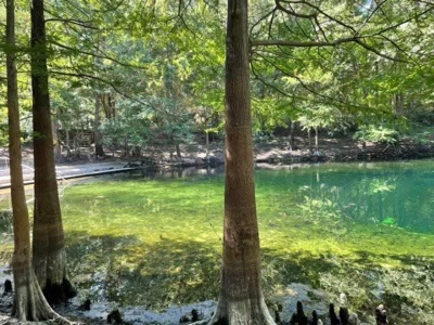 2/2 Home With Private Access To Sun Springs Bell, Fl! - image 45