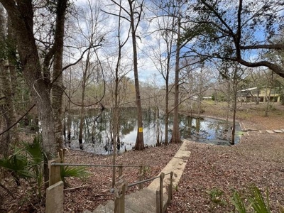 2/2 Home With Private Access To Sun Springs Bell, Fl! - image 39