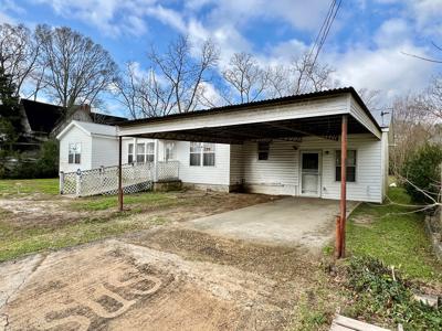 Home In Town For Sale Slocomb AL- Geneva Co. - image 20