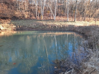 Peace Of Mind On Fully Sustainable 26 Acres - image 1