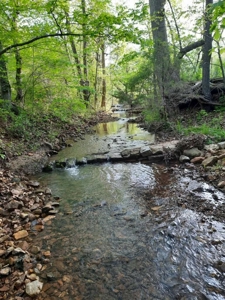 Peace Of Mind On Fully Sustainable 26 Acres - image 3